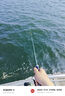 釣迷（fishingfans）快鯊泛用遠投路亞竿桿超輕碳素m/ml調路滑竿垂釣新手魚(yú)竿全套一套 2.1米 ML快調【常規泛用】 直柄單竿 曬單實(shí)拍圖