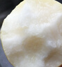 正宗河北皇冠梨 產(chǎn)地直發(fā) 現(xiàn)摘現(xiàn)發(fā) 脆甜多汁梨子整箱新鮮水果 皇冠梨凈重8.5斤 曬單實拍圖