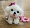 FAN BEAUTY DIARY范冰冰同款嘟嘟晶凍日夜淡紋唇油膜4g 保濕淡化唇紋 曬單實拍圖