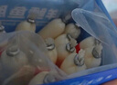 小鹿藍(lán)藍(lán)海洋無(wú)污染鱈魚(yú)腸 寶寶兒童零食解饞零食益生元鱈魚(yú)肉腸300g 曬單實(shí)拍圖