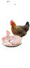 溫潤食品 原種138天清遠雞1.2kg 國家地理標志產(chǎn)品慢養(yǎng)麻雞純種土雞走地雞 曬單實拍圖