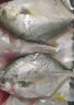 翔泰海南深海金鯧魚700g 2條 燒烤 火鍋 生鮮魚類 BAP認(rèn)證 海鮮水產(chǎn) 曬單實(shí)拍圖
