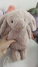 Jellycat致臻害羞羅莎維洛邦尼兔動(dòng)物毛絨玩偶安撫生日新婚禮物 害羞羅莎邦尼兔 H31 X W12 CM 曬單實(shí)拍圖