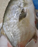 翔泰 海南金鯧魚(yú)凈重900g 2條裝  魚(yú)類(lèi)生鮮 火鍋食材 海鮮水產(chǎn) 中秋 曬單實(shí)拍圖