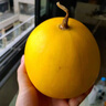 三萌果蔬甘肅民勤蜜瓜沙漠甜瓜清甜哈密瓜應(yīng)季甜瓜應(yīng)季水果生鮮整箱超甜 9斤甄選果【約3-6個(gè)】?jī)?-8斤 曬單實(shí)拍圖