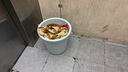 福愛(ài)家水桶中號17升塑料桶學(xué)生桶洗衣桶泡腳洗腳桶拖把桶儲水桶洗車(chē)桶 曬單實(shí)拍圖