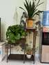美佳朗花架置物架陽(yáng)臺實(shí)木多層落地式家用客廳中式花臺多肉綠蘿花盆架子 胡桃色-小號【此規格圖二款】 人造面板-實(shí)木支柱-承重強 曬單實(shí)拍圖