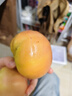 【超市精選】山東沙瓤水果西紅柿新鮮番茄蔬菜減肥單果100g起 西紅柿中大果 4斤 帶箱 曬單實(shí)拍圖