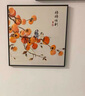 都市麗人睡衣女士睡衣夏季緞面仿真絲冰絲寬松短袖短褲開(kāi)衫可外穿家居 曬單實(shí)拍圖