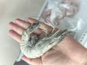 鮮京采 鮮凍大號黑虎蝦 去冰凈重2斤 31-40只/盒 斑節(jié)對蝦 曬單實拍圖