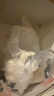 九陽（Joyoung）凈萃全玻璃0膠水養(yǎng)生壺  辦公室多功能煮茶器花茶壺 燒水壺恒溫電熱水壺 24h預(yù)約保溫 1L WY107 曬單實拍圖