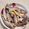 三都港 冷凍海捕小黃魚700g 24-29條 黃花魚 海魚 生鮮魚類 燒烤 曬單實拍圖
