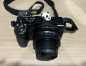 尼康Z30入門級 Vlog自拍旅游高清照相機(jī) 拍鳥 出游 高性價比 輕便 微單相機(jī) Z30 16-50套機(jī) 官方配置 曬單實(shí)拍圖