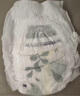 露安適（Lelch）植萃嬰兒日用學(xué)走褲XXL碼38片(15KG以上)拉拉褲夏季超薄 尿不濕 曬單實(shí)拍圖