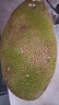 京逸海南菠蘿蜜黃肉干苞新鮮水果當(dāng)季木波羅蜜三亞特產(chǎn)8-35斤一整個(gè) 20-25斤【高性價(jià)比大果推薦】 曬單實(shí)拍圖