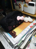 語(yǔ)森憶2025新款helloKitty上學(xué)筆袋卡通可愛(ài)大容量kt貓限定ins收納袋學(xué)生hellokty文具 黑色KT筆袋 曬單實(shí)拍圖