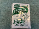 綠葉（Green Leaf）蒼蠅粘板粘蠅膠捕蠅滅蠅器20張裝 GL02110 曬單實拍圖