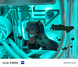 華碩（ASUS）天選 GeForce RTX 5060 Ti O8G 顯卡 初音未來版 曬單實(shí)拍圖