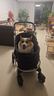 DO DO PET寵物推車中小型犬柯基邊牧狗狗貓咪外出代步手推車一鍵折疊遛狗車 黑色【一體式折疊】舒適大空間 建議狗狗30斤內(nèi)，貓咪2-4只 曬單實(shí)拍圖