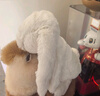 Jellycat花布邦尼兔動物毛絨玩偶兔子玩偶兒童禮物娃娃生日新婚禮物 白芮（乳白色） Medium 曬單實拍圖