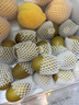 佳沛（zespri）新西蘭  陽光金奇異果16粒禮盒經(jīng)典果單果約 77-103g 水果 獼猴桃 曬單實拍圖