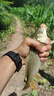 漁之源（Yuzhiyuan）釣魚(yú)支架高碳高硬臺(tái)釣支架釣魚(yú)配件炮臺(tái)支架 2.1m去野二代 曬單實(shí)拍圖