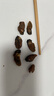 鮮馳生蠔山東日照特大金蠔干曬蠔干海蠣干牡蠣干蠔豉干海鮮干貨生蠔肉 大號蠔干500克凈重約220-240/個 曬單實拍圖
