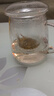 物生物（RELEA）茶杯男茶水分離杯玻璃杯水杯辦公泡茶杯子耐高溫花茶杯教師節禮物 曬單實(shí)拍圖