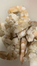 1號(hào)會(huì)員店白蝦仁0添加保水劑31-40只/磅無(wú)冰去蝦線凈重3斤（100-130只)  曬單實(shí)拍圖