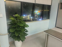 三棵樹(shù)漆乳膠漆內墻漆鮮呼吸煥新居抗甲醛全效墻面漆涂料15L小套裝可調色 曬單實(shí)拍圖