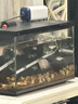 森森魚(yú)缸增氧泵水族箱氧氣泵LQE-200家用小型充氧泵4W雙孔+全套配件 曬單實(shí)拍圖