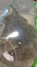 鮮活大基圍蝦250g(11-16只) 曬單實(shí)拍圖