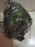辰實(shí)紫蘇葉新鮮 現(xiàn)摘帶桿食用紫蘇 做菜調(diào)味香料 1斤 曬單實(shí)拍圖