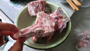 內蒙古多肉羊蝎子原切羊肉錫林郭勒乳羔羊清真羊脊骨火鍋食材 多肉羊脊骨3斤（多肉） 曬單實(shí)拍圖