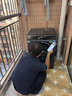 海爾（Haier）滾筒洗衣機(jī)全自動洗烘一體帶烘干10公斤家用 家電國家補貼20%  云溪3.0XQG100-HBLDE583HU1 曬單實拍圖