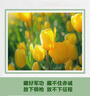 金利來(lái)（Goldlion）男鞋25秋款男士免系商務(wù)休閑鞋柔軟舒適增高運動(dòng)鞋黑色41 曬單實(shí)拍圖