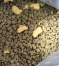 麥富迪貓糧 barf霸弗天然貓糧凍干生骨肉成貓糧養(yǎng)胃益腸牛肉7.2kg 曬單實(shí)拍圖