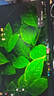 華為MateView SE 27英寸電腦顯示器 2K分辨率  100Hz高刷 /IPS全面屏/300nit高亮度 標準版 曬單實(shí)拍圖