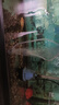 森森魚(yú)缸增氧泵水族箱氧氣泵家用小型充氧泵LQE-400 5W雙孔+全套配件 曬單實(shí)拍圖