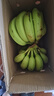 精品云南香蕉高山香蕉現(xiàn)摘新鮮水果甜生青香蕉banana自然熟綠皮 精品高山蕉 9斤 曬單實(shí)拍圖