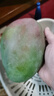 京鮮生 攀枝花凱特芒 凈重8.5斤 帶箱9斤 單果600g+ 生鮮水果 源頭直發(fā) 曬單實拍圖