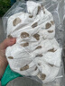 有彩春夏季嬰兒帽子超洋氣男女寶寶紗布盆帽遮陽帽兒童漁夫帽 白色-小熊抽繩調(diào)節(jié)漁夫帽 均碼(適合0-18個月)可調(diào)節(jié) 曬單實拍圖