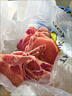 【順豐發(fā)貨】新鮮豬肉 大排片 豬排 豬里脊肉 帶骨大排片 豬排肉 1斤裝 曬單實(shí)拍圖