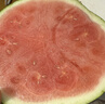 【產(chǎn)地直采】麒麟奶油西瓜 約5.5kg 曬單實(shí)拍圖