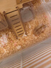 哈駱頓 倉(cāng)鼠籠子金絲熊籠子超大豪華別墅跑輪倉(cāng)鼠窩夏天小倉(cāng)鼠玩具用品 白色基礎(chǔ)籠3件套【47*30*30cm】 【升級(jí)加密間距-耐啃咬防偷溜】 曬單實(shí)拍圖