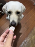 耐吉斯凍干酸奶塊貓咪狗狗零食藍(lán)莓蔓越莓果粒貓犬通用發(fā)腮增肥 3包（48顆）加送3顆 任何規(guī)格只可免費(fèi)試吃1顆 曬單實(shí)拍圖