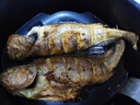 森農樂(lè )舟山大黃魚(yú)禮盒深海黃花魚(yú)生鮮鮮活冷凍冰鮮水產(chǎn)海鮮年貨禮包商用 2條無(wú)禮盒【每條凈重1.4斤】 曬單實(shí)拍圖
