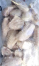 1號會員店 單凍雞翅中組合 2斤裝（奧爾良腌料包70g+雞翅中930g） 曬單實拍圖