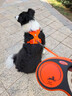 拉夫威爾ruffwear福朗特胸背狗狗胸背帶大小型犬拉布拉多背心式牽引背帶 火焰橘 M 曬單實(shí)拍圖