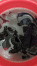 浪莎三角內(nèi)褲男抑菌舒適透氣U凸囊袋大碼寬松中腰褲頭 180/XXL 曬單實(shí)拍圖